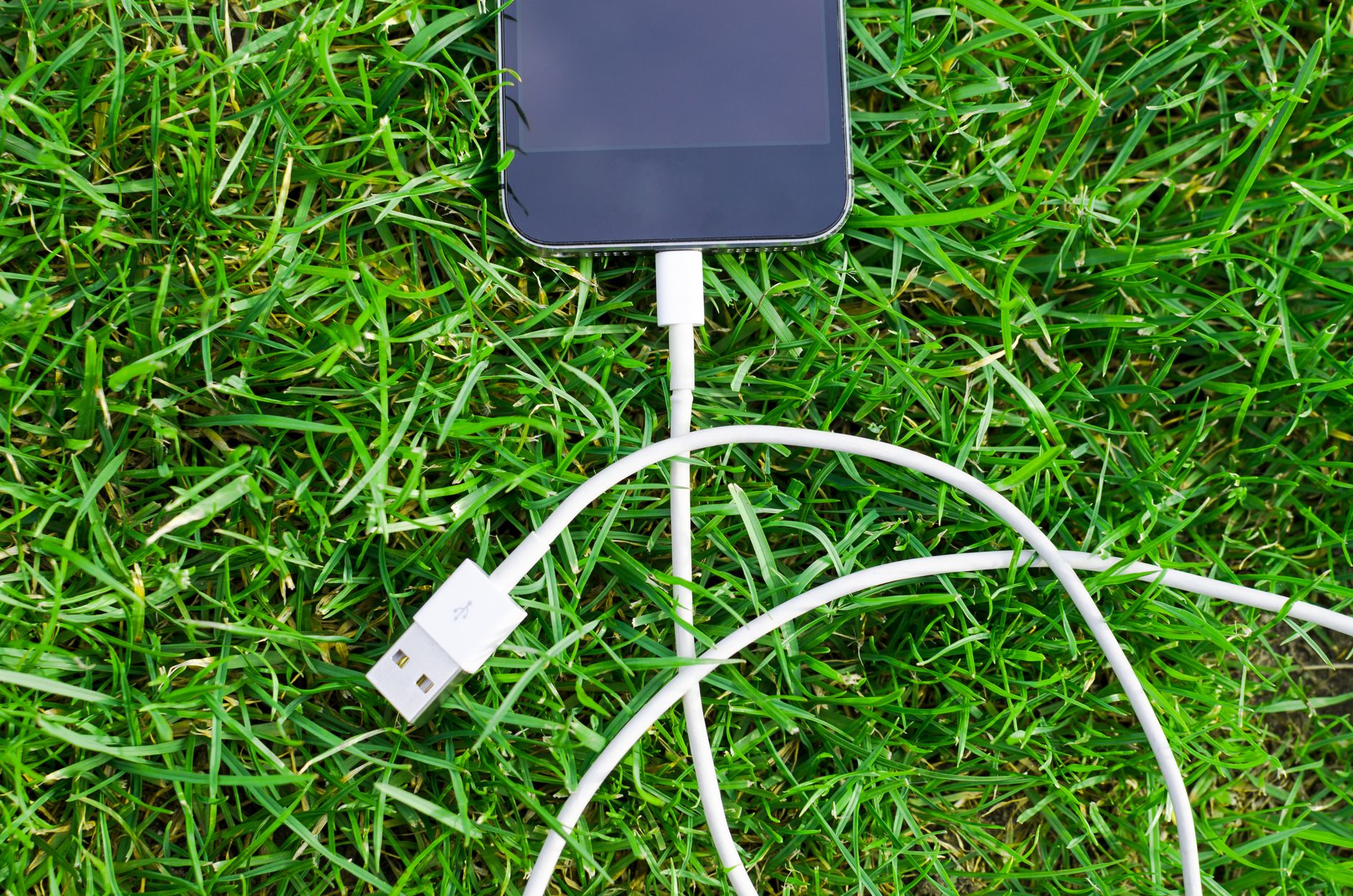 Como usar o celular como webcam do computador A smartphone connected to a USB cable lies on vibrant green grass, symbolizing connectivity and technology in nature.