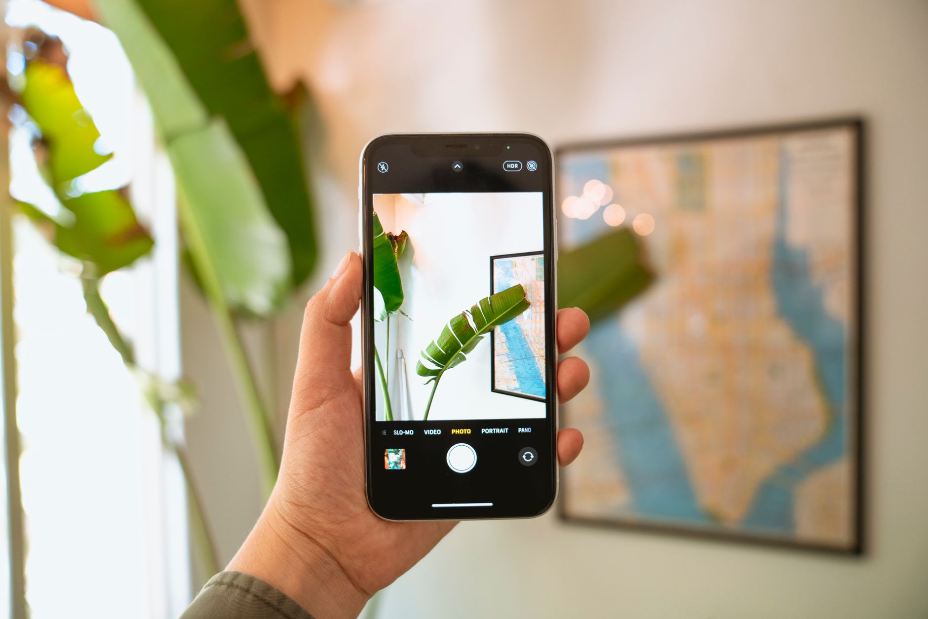 IA no celular: o que realmente mudou no uso diário A hand holds a smartphone capturing an indoor leaf with map in the background.
