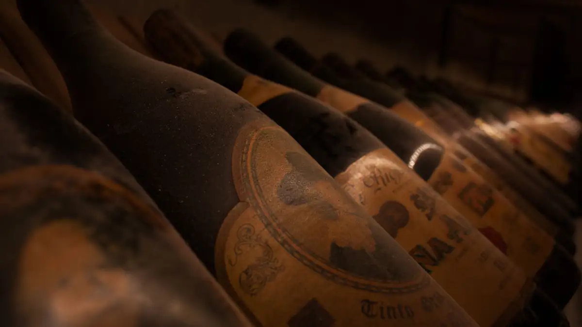Garrafas de vinho tinto em uma adega com prateleiras de madeira