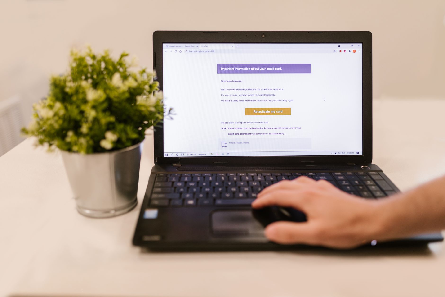 Como descobrir o total de tudo que você deve Person using a laptop to read an email indoors beside a potted plant.