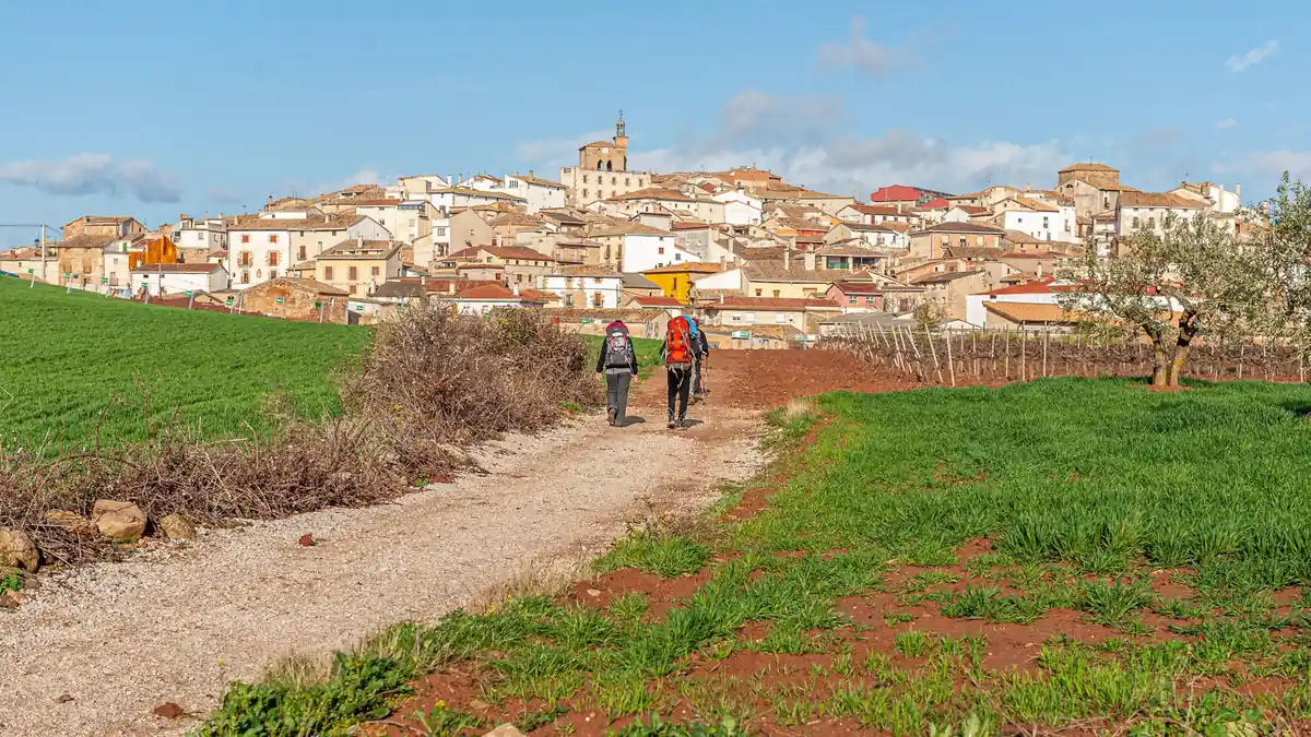 Peregrinos caminhando por uma trilha rural no Caminho de Santiago