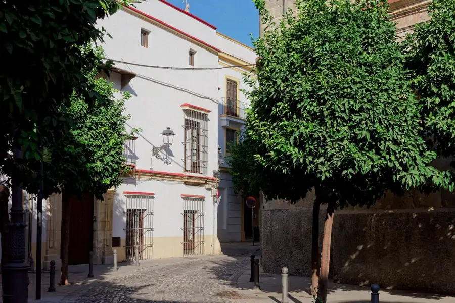 Rua estreita e caiada de uma cidade andaluza com vasos de flores