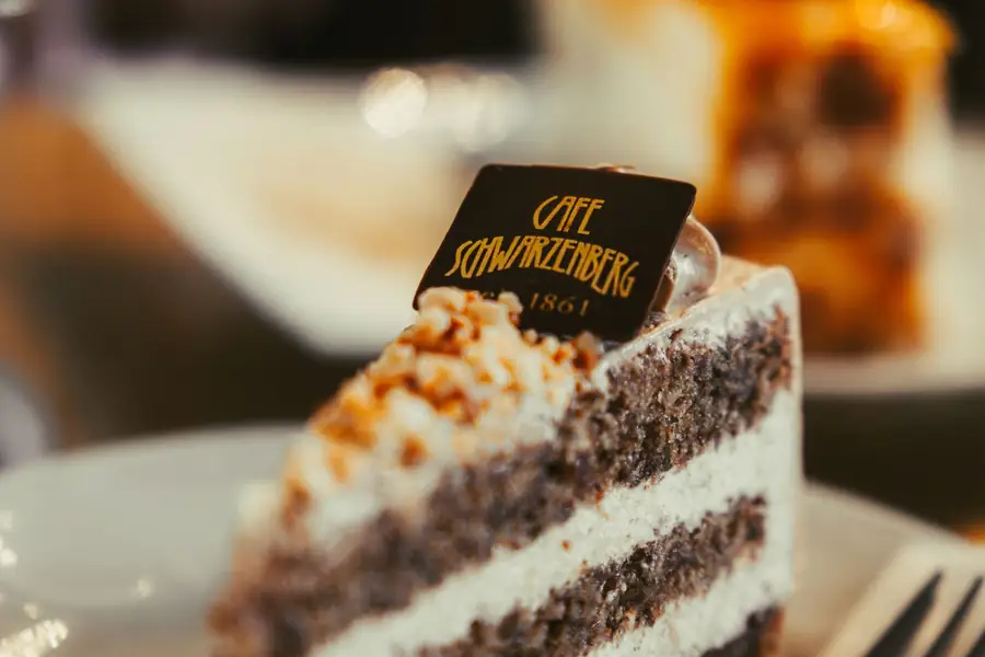 Fatia de bolo de chocolate e nozes em um café elegante de Viena