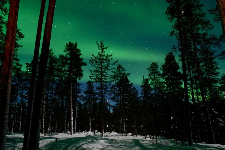 Aurora boreal sobre floresta coberta de neve à noite Aurora boreal sobre floresta coberta de neve à noite