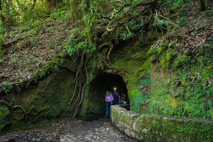 Caminhantes entrando em túnel coberto de musgo em uma levada da Madeira