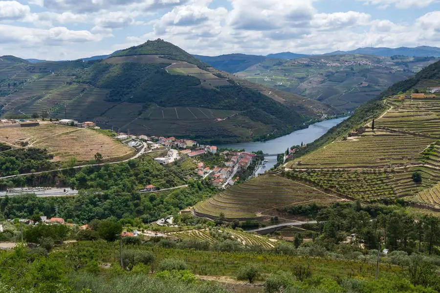 Vista aérea dos vinhedos em socalcos do Vale do Douro e do rio Vista aérea dos vinhedos em socalcos do Vale do Douro e do rio