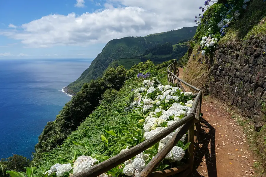 Paisagem verde com hortênsias e mar ao fundo nos Açores Paisagem verde com hortênsias e mar ao fundo nos Açores