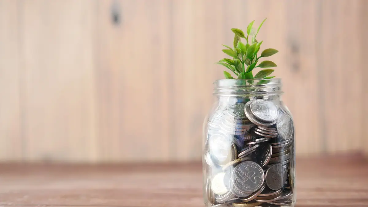 Pote de vidro com moedas e uma planta brotando