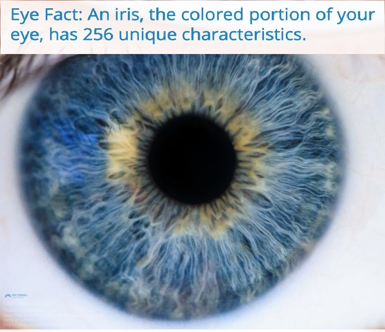 Intraocular