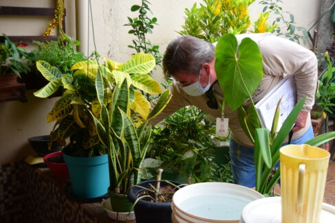 ALERTA: Agentes do Controle de Vetores intensificam as visitas domiciliares como medida de prevenção <strong>Barretos soma 1.987 casos de dengue e reforça combate à doença</strong>