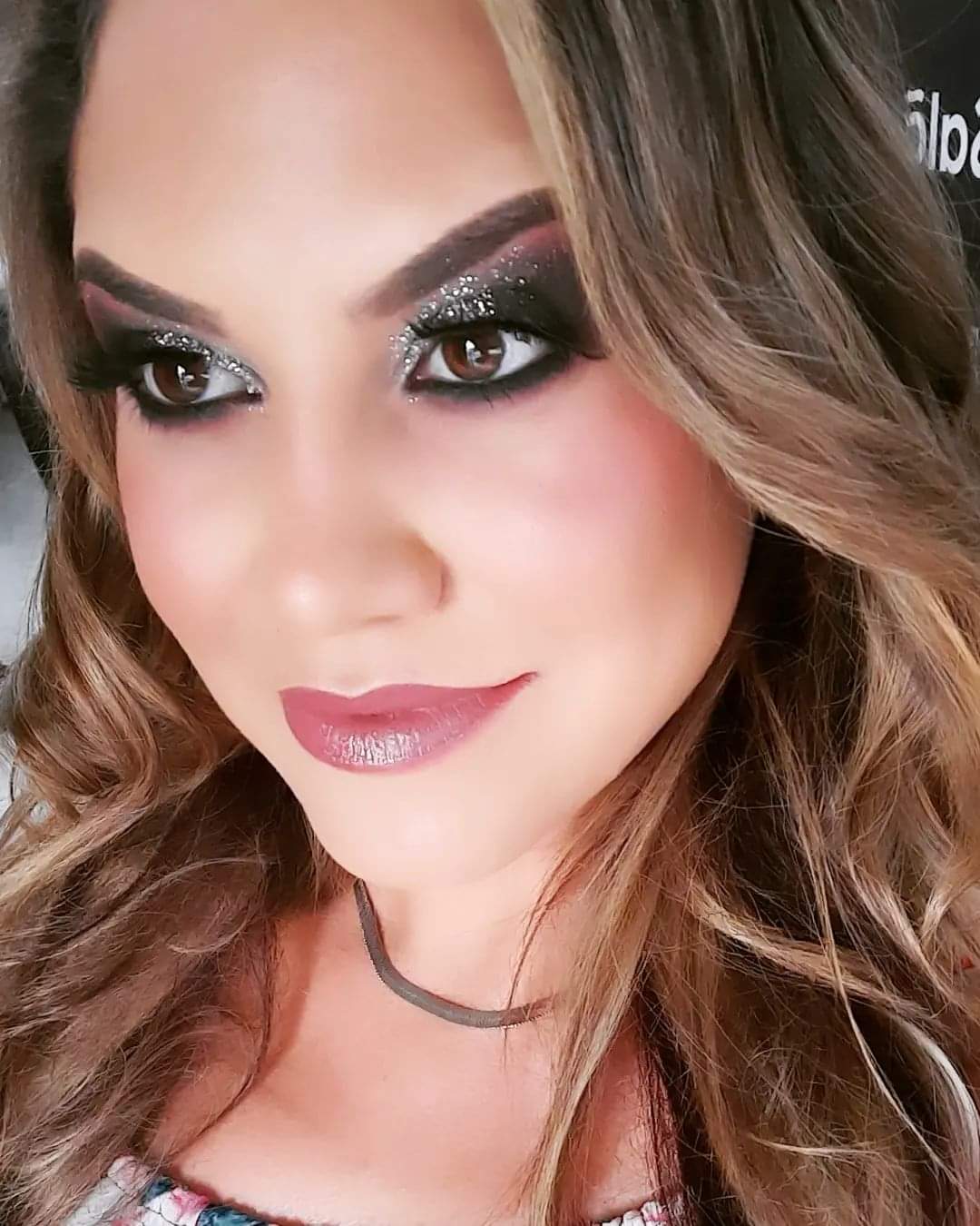 Viva a Aline! O Diário Interativo Online