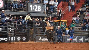 Titanic, da ProHorse, é o melhor cavalo do cutiano na 29ª Festa do Peão de  Americana, Esportes, Notícias, Viola Show