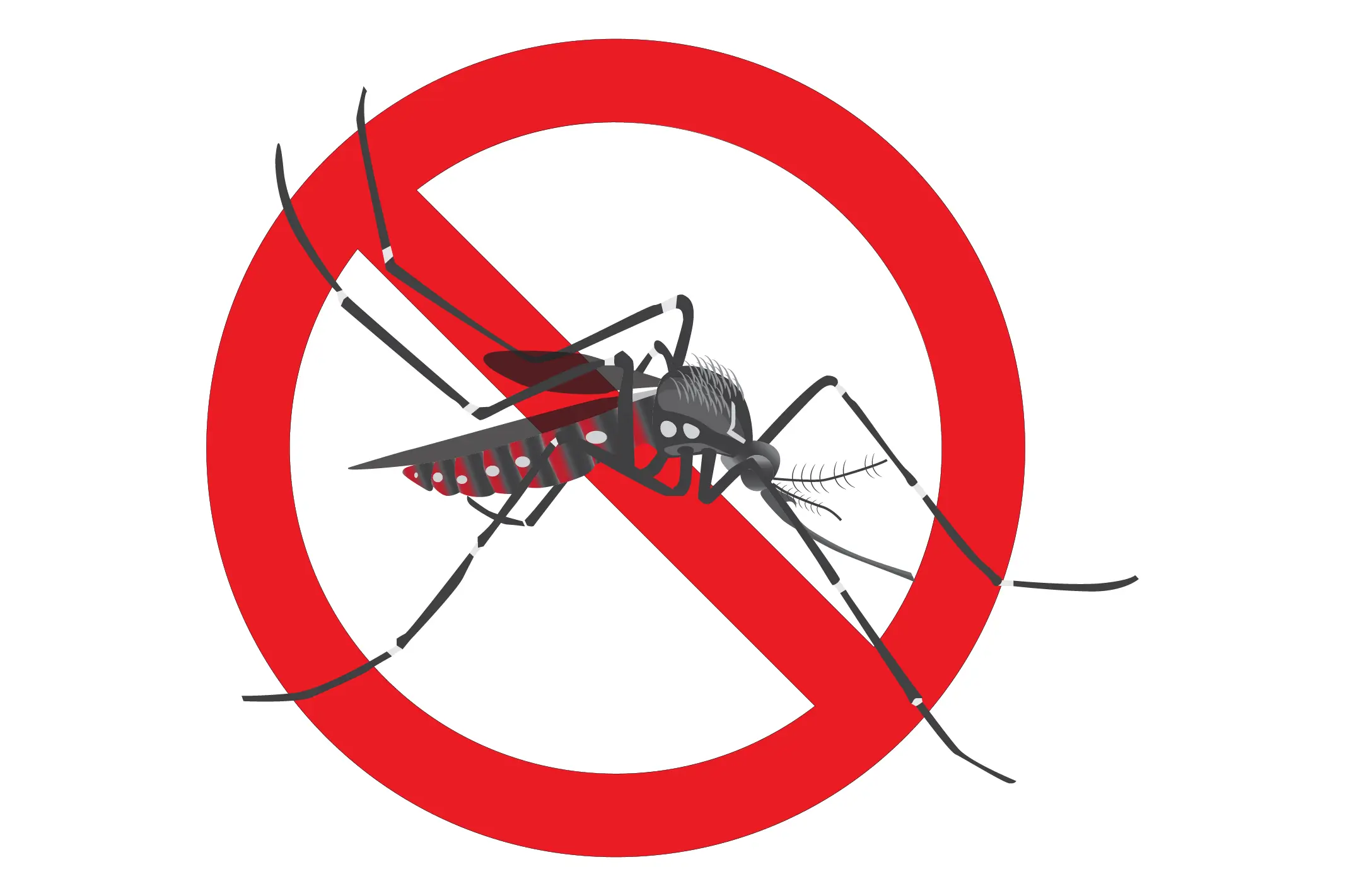 Brasil encerra janeiro com 170 mil casos de dengue e 38 mortes
