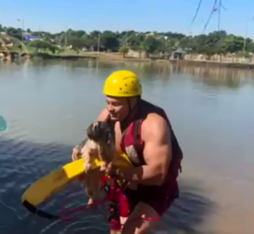 Bombeiros resgatam cãozinho cego dentro do lago (Foto: O Diário de Barretos)