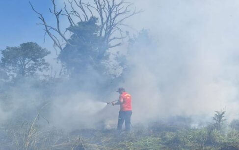 Defesa Civil e Corpo de Bombeiros apagam incêndio em área de mato (Foto: O Diário de Barretos)