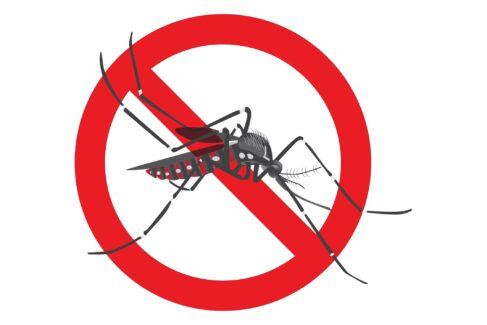 Barretos terá mais recursos para combater mosquito transmissor de doenças Barretos terá mais recursos para combater mosquito transmissor de doenças