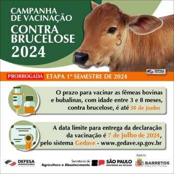 Imunização é voltada para fêmeas, com idade entre três e oito meses Imunização é voltada para fêmeas, com idade entre três e oito meses