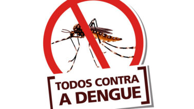 Dengue é transmitida pelo Aedes