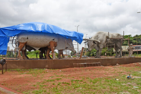 Monumento “Boi Soberano” é construído na rua 34 com a avenida 11 Monumento “Boi Soberano” é construído na rua 34 com a avenida 11