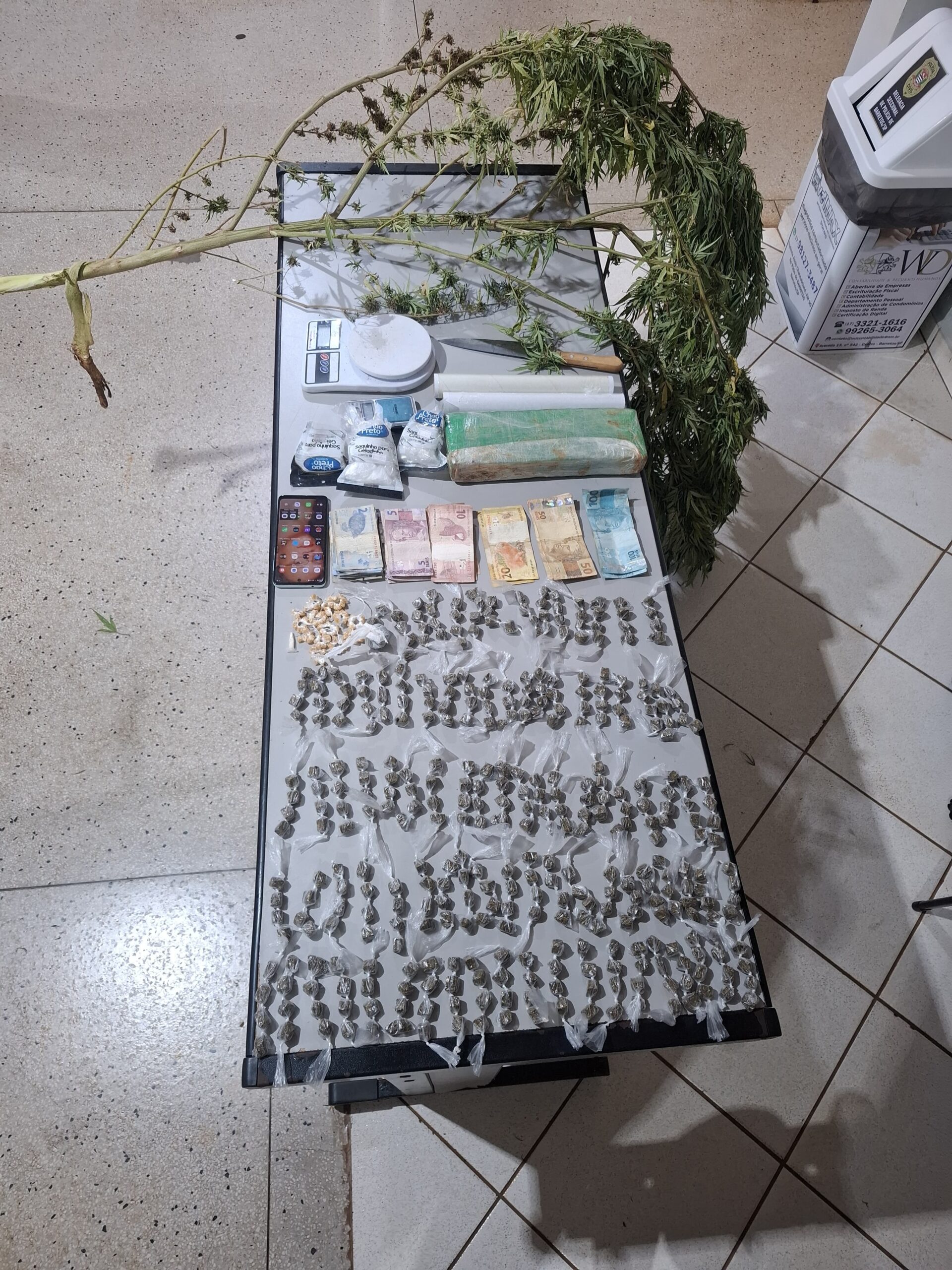 Polícia detém suspeita e apreende quase 2kg de drogas