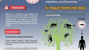 Prefeitura de Colina divulgou informações sobre a doença e as formas de prevenção Prefeitura de Colina divulgou informações sobre a doença e as formas de prevenção