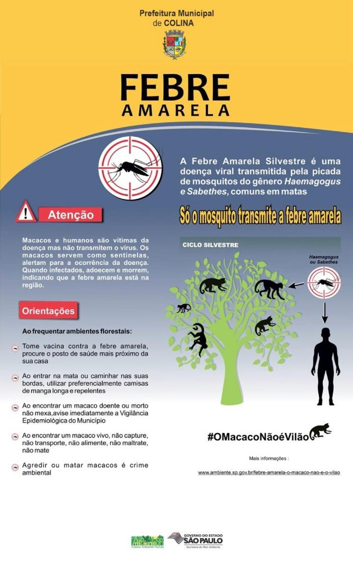 Colina emite alerta após confirmação de febre amarela em macaco