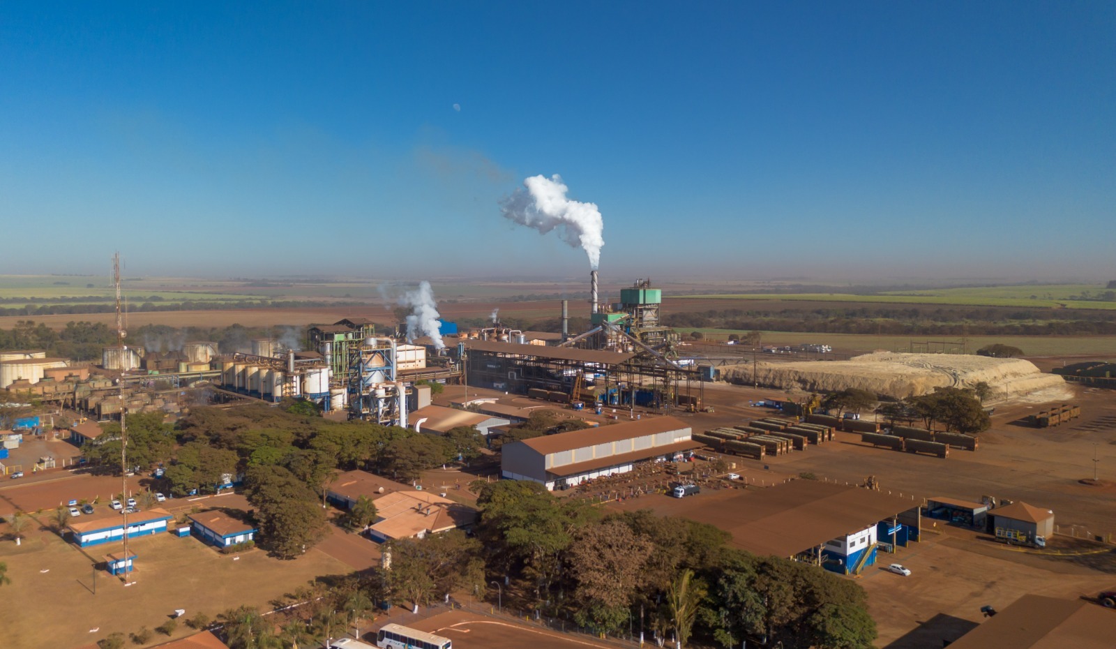 Tereos anuncia mais de 400 vagas abertas para a safra 25/26