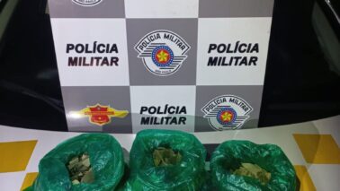 Polícia Rodoviária encontra folhas de coca em caminhão da Bolívia (Foto: O Diário de Barretos) Polícia Rodoviária encontra folhas de coca em caminhão da Bolívia (Foto: O Diário de Barretos)