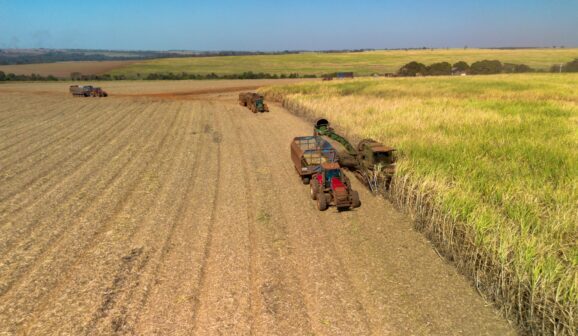 Dia de Campo aborda tecnologias para o plantio da cana