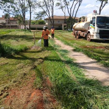 meio ambiente LIMPEZA E PLANTIO