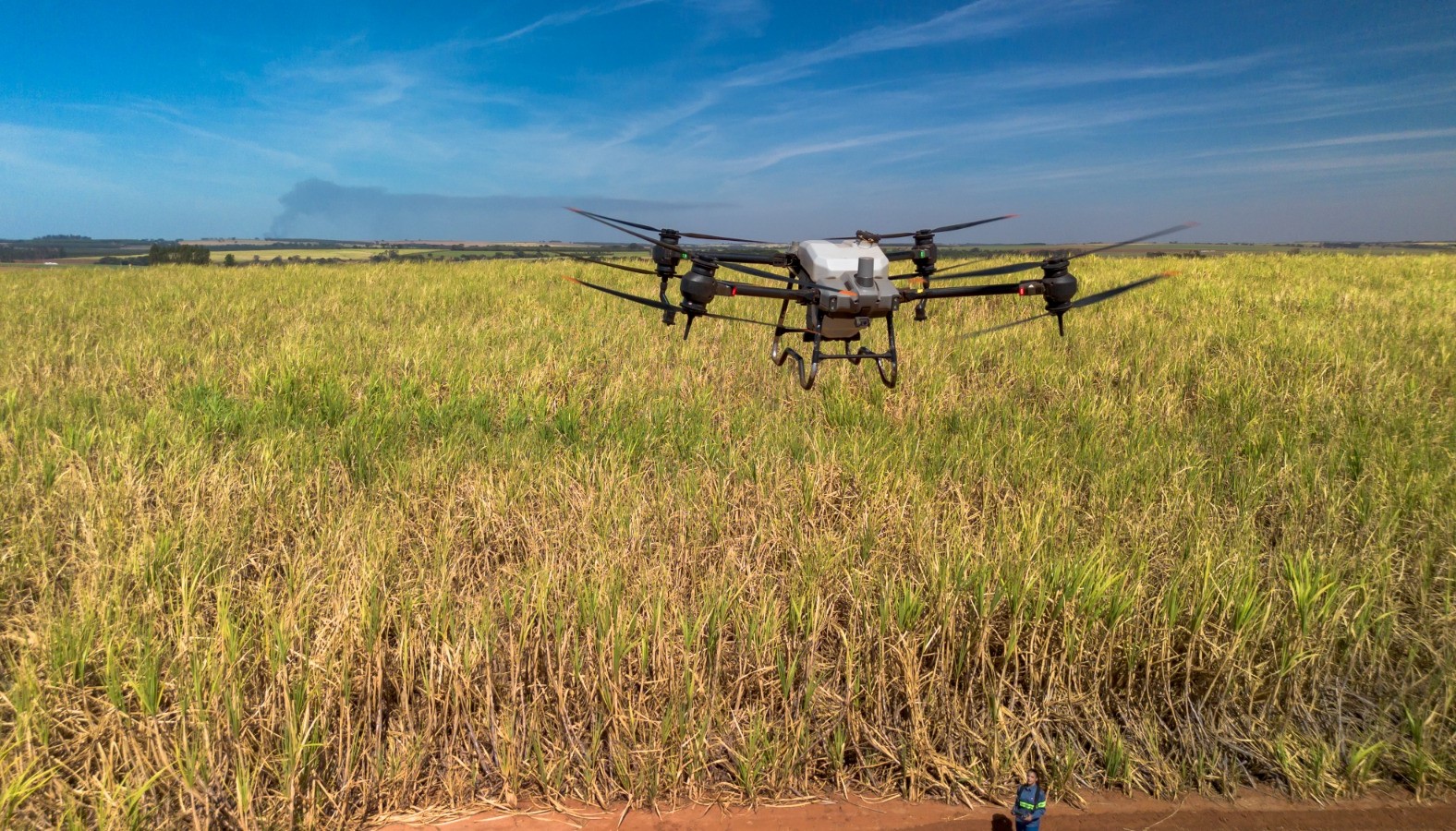 Tereos usa drones para combater pragas em canaviais