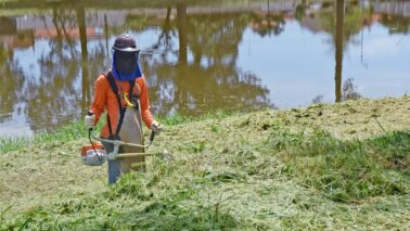 WhatsApp Image 2025-02-18 at 16.54.44 A secretaria municipal de Agricultura, Meio Ambiente e Sustentabilidade da prefeitura de Barretos executa nesta semana, entre segunda (17) e sexta (21), os serviços de roçagem, raspagem e capina de áreas públicas da cidade.