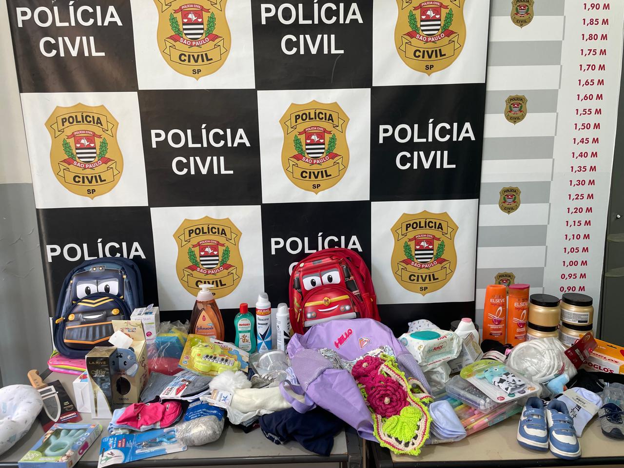 Polícia Civil desarticula associação criminosa voltada a prática de furtos