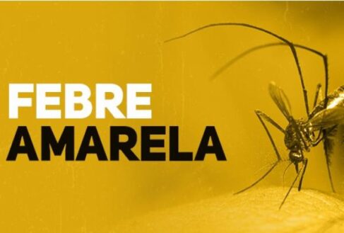 Vacinação é realizada em postos de saúde e Dia D será em 22 de fevereiro