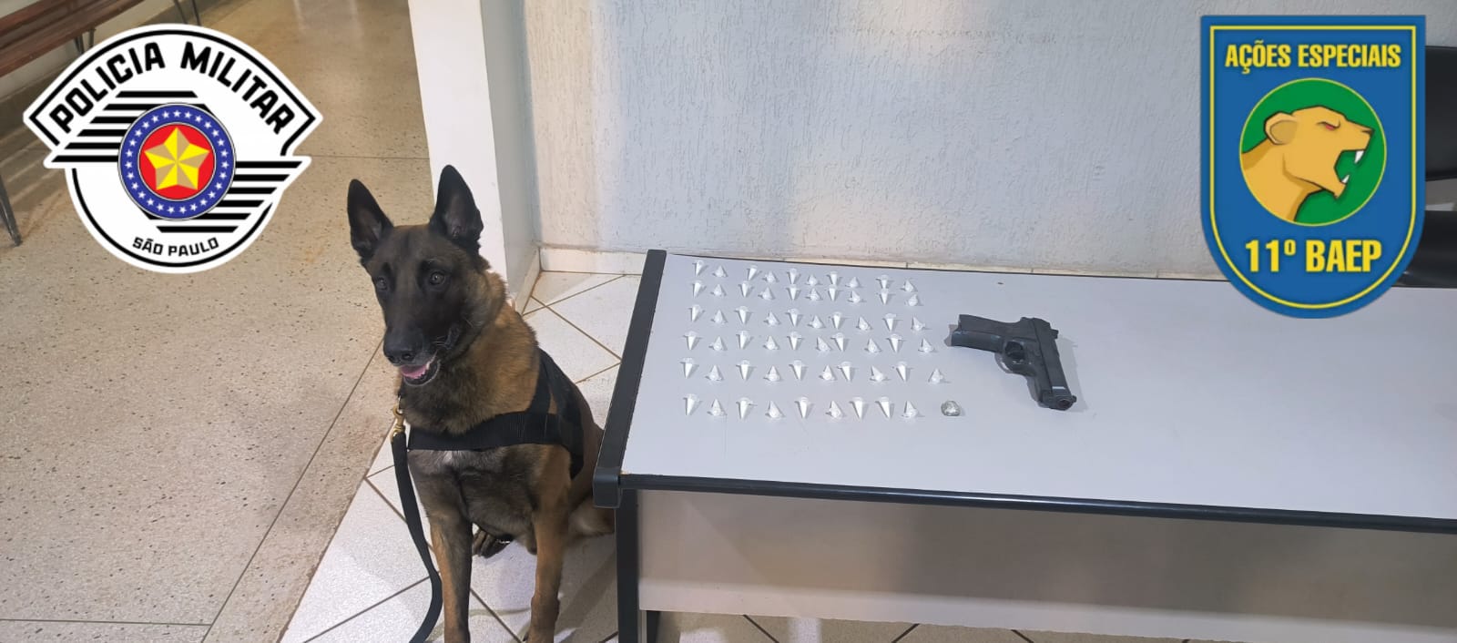 Polícia encontra droga e réplica de arma no conjunto Newton Sopa