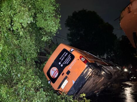 O temporal que atingiu a cidade de Barretos no final da tarde de quarta-feira (12) provocou a queda de uma grande árvore, na rua 10 com a avenida São Carlos, no bairro Ibirapuera.