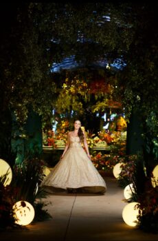 Debutante