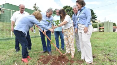 Primeiros plantios de árvores ocorreram após assinatura do convênio (Foto: Divulgação)