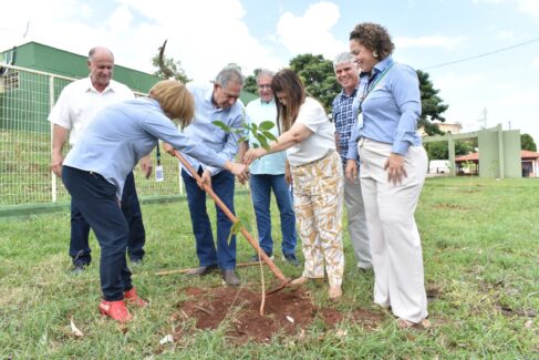 Primeiros plantios de árvores ocorreram após assinatura do convênio (Foto: Divulgação) Primeiros plantios de árvores ocorreram após assinatura do convênio (Foto: Divulgação)