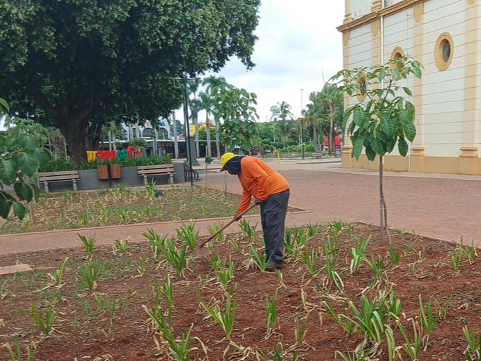 Prefeitura realiza manutenção do paisagismo na área central