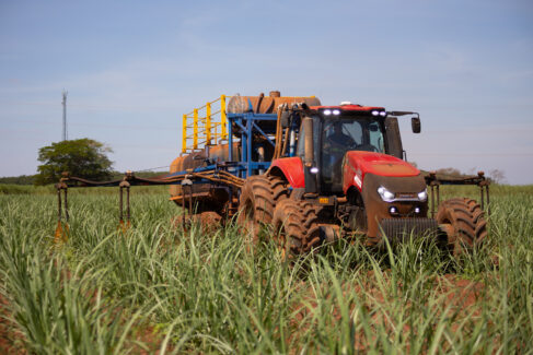 Em 2024, cerca de 30 mil hectares de cana receberam a irrigação de salvamento com vinhaça, segundo a Tereos (Foto: Divulgação) Em 2024, cerca de 30 mil hectares de cana receberam a irrigação de salvamento com vinhaça, segundo a Tereos (Foto: Divulgação)