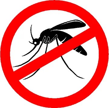 Semana termina com 244 novos casos de dengue e 13 internados