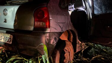 Acidente provoca quatro mortes em rodovia de Barretos (Foto: O Diário de Barretos)