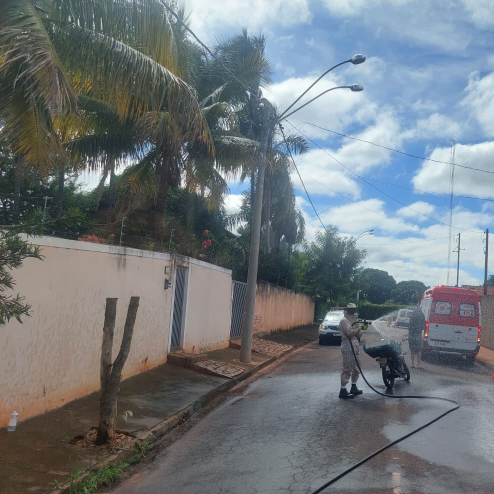 Aposentado morre após ser atacado por enxame de abelhas