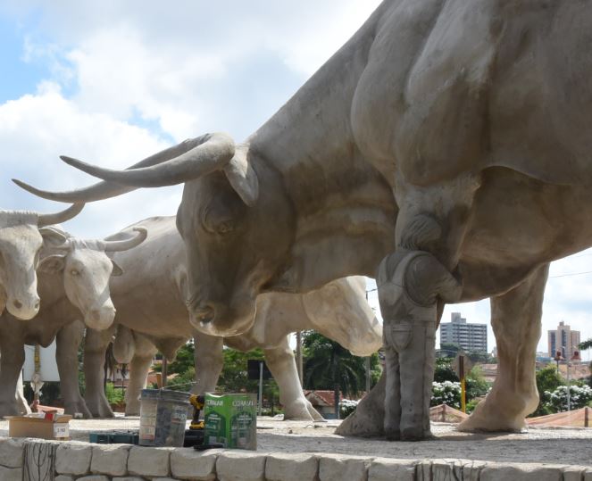 Coordenador de concurso sugere alteração no Monumento do Boi Soberano