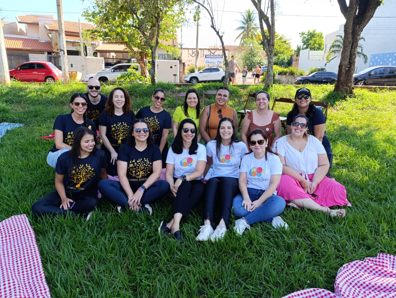 Picnic inclusivo