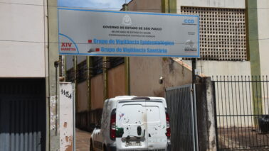 Região registra 11 mortes por dengue e Guaíra lidera em óbitos