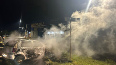 Carro pega fogo após choque contra poste na via dos “Coqueiros” (foto: O Diário de Barretos)