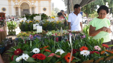 A Casa Transitória André Luiz está promovendo na Praça Francisco Barreto, a Feira de Flores de Holambra com toda renda para a entidade.