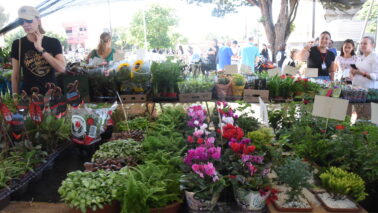 A diretora da Casa Assistencial Espírita Nosso Lar, Cássia Bampa, informou que prossegue até sexta (9), das 9h às 13h, a Feira de Artesanato